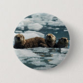 Sea Otter Button (Vorderseite)