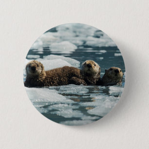 Sea Otter Button