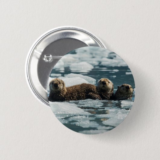 Sea Otter Button (Vorne & Hinten)