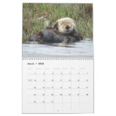 Sea Otter Channel Calendar #1 Kalender (Mär 2026)