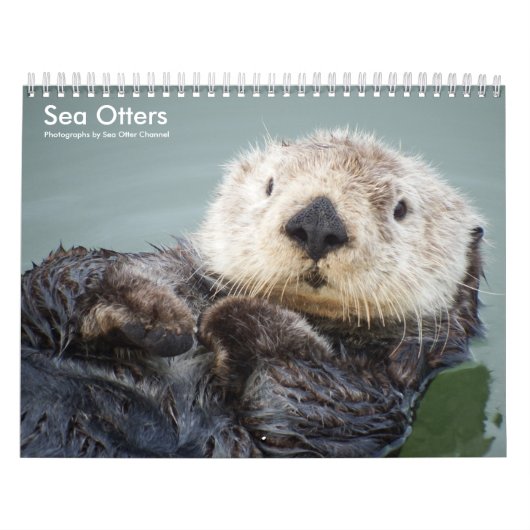 Sea Otter Channel Calendar #1 Kalender (Titelbild)