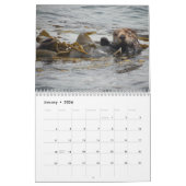 Sea Otter Channel Calendar #1 Kalender (Jan 2026)