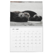 Sea Otter Channel Calendar #4 Kalender (Mär 2027)