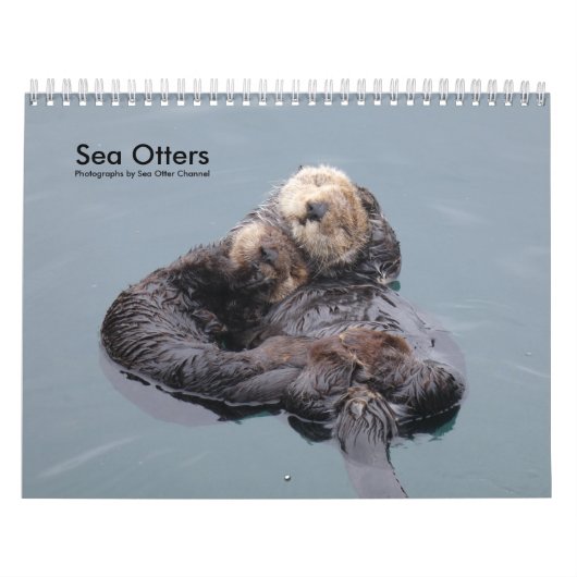 Sea Otter Channel Calendar #4 Kalender (Titelbild)
