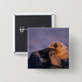 Sea Otter, Enhydra lutris Button (Vorne & Hinten)
