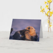 Sea Otter, Enhydra lutris Karte (Gelbe Blume)