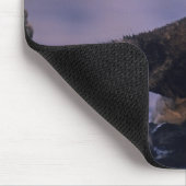Sea Otter, Enhydra lutris Mousepad (Ecke)