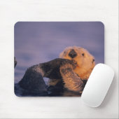 Sea Otter, Enhydra lutris Mousepad (Mit Mouse)