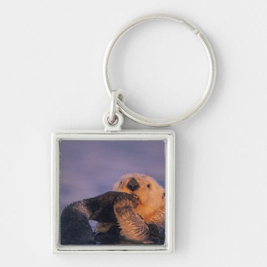 Sea Otter, Enhydra lutris Schlüsselanhänger (Vorne)
