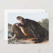 Sea Otter (Enhydra marina) Illustration Postkarte (Vorne/Hinten)