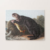 Sea Otter (Enhydra marina) Illustration Puzzle (Horizontal)