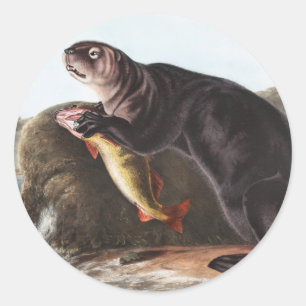 Sea Otter (Enhydra marina) Illustration Runder Aufkleber