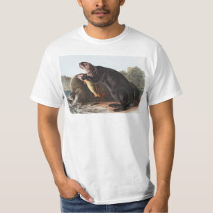 Sea Otter (Enhydra marina) Illustration T-Shirt