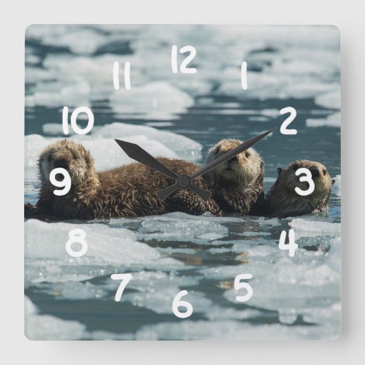 Sea Otter Family Quadratische Wanduhr (Vorderseite)