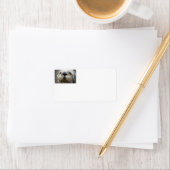 Sea Otter Foto Address Labels Adressaufkleber (Insitu)