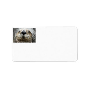 Sea Otter Foto Address Labels Adressaufkleber