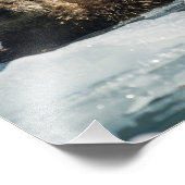 Sea Otter Fotodruck (Ecke)