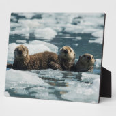 Sea Otter Fotoplatte (Seite)