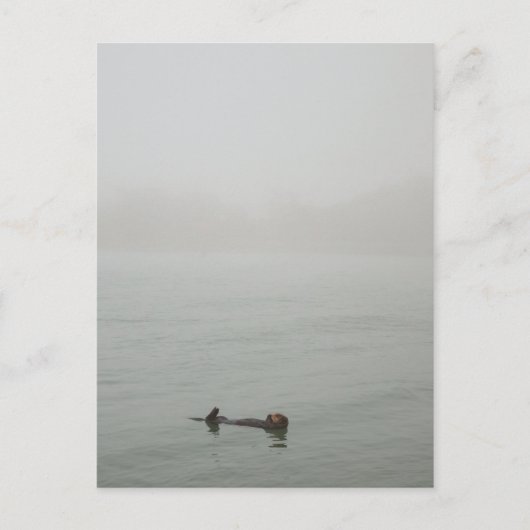 Sea Otter im Nebel Postkarte (Vorderseite)