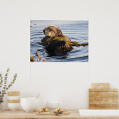 Sea Otter in Kelp umwickelt Poster (Küche)