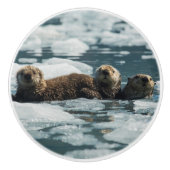 Sea Otter Keramikknauf (Vorderseite)