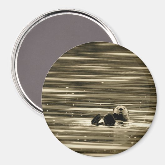 Sea Otter Magnet (Vorderseite/Rückseite)