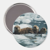 Sea Otter Magnet (Vorderseite/Rückseite)