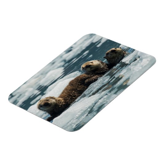Sea Otter Magnet (Linke Seite)