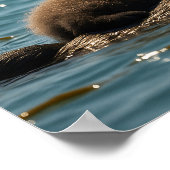 Sea Otter Mom & Pup Floating in Sparkling Ocean  Poster (Ecke)