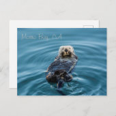 Sea Otter - Morro Bay Postkarte (Vorne/Hinten)