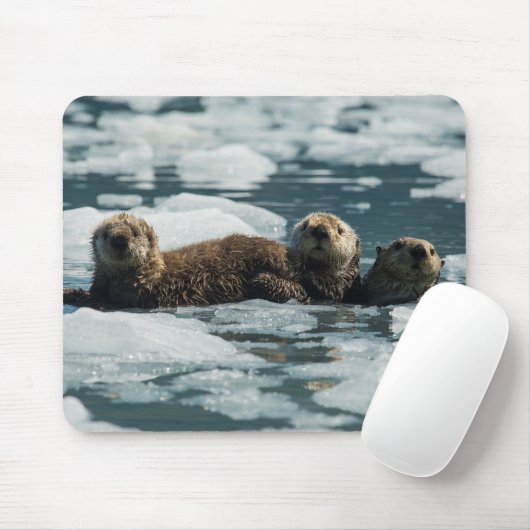 Sea Otter Mousepad (Mit Mouse)