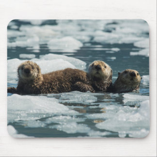 Sea Otter Mousepad
