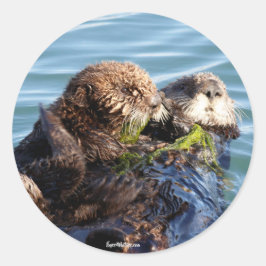Sea Otter Mutter und Jungtier mit Seetang Runder Aufkleber