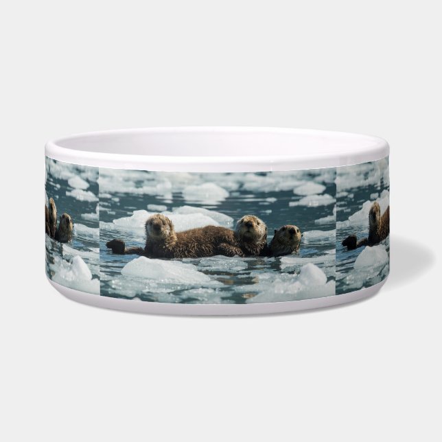 Sea Otter Napf (Vorderseite)