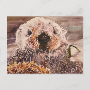 Sea Otter Postcard Postkarte