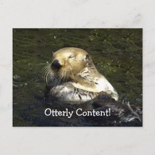 Sea Otter Postcard Postkarte