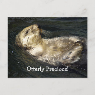 Sea Otter Postcard Postkarte