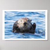 Sea Otter Poster (Vorne)
