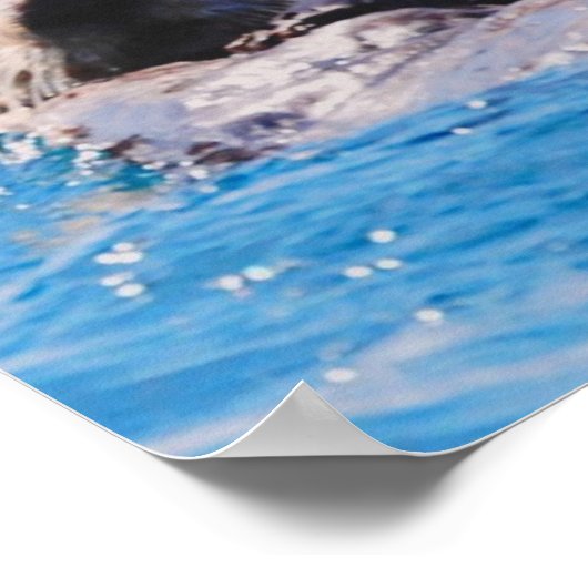 Sea Otter Poster (Ecke)