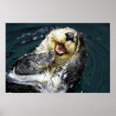 Sea Otter Poster (Vorne)