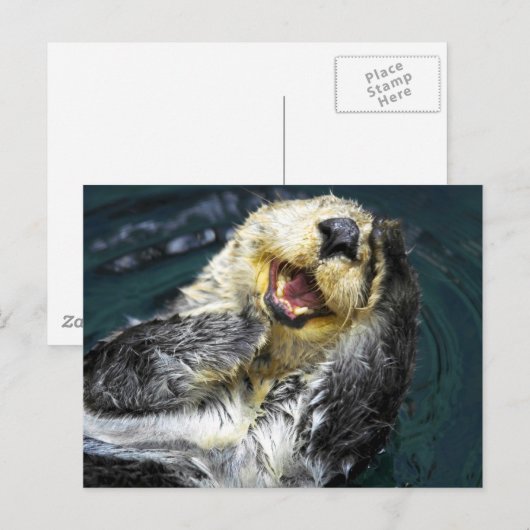 Sea Otter Postkarte (Vorne/Hinten)