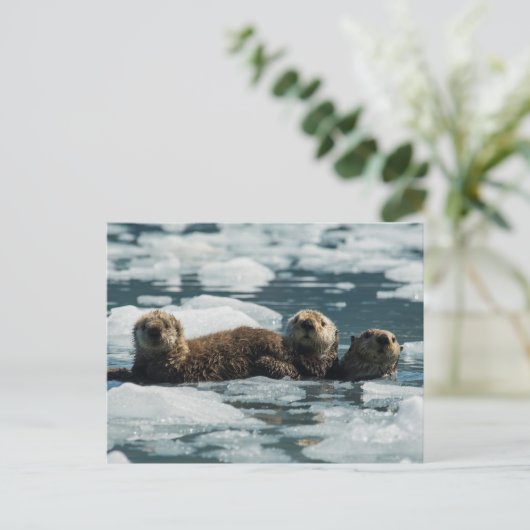Sea Otter Postkarte (Stehend Vorderseite)