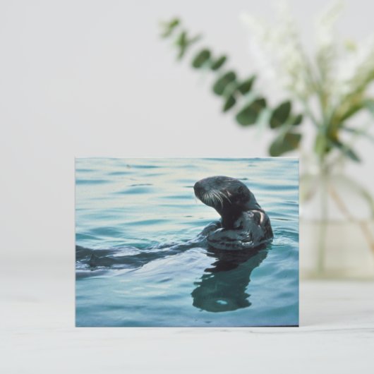 Sea Otter Postkarte (Stehend Vorderseite)