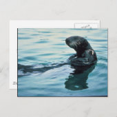 Sea Otter Postkarte (Vorne/Hinten)