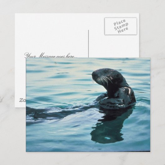 Sea Otter Postkarte (Vorne/Hinten)