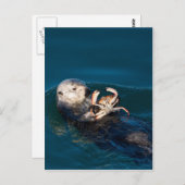 Sea Otter Postkarte (Vorne/Hinten)
