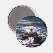 Sea Otter Schwimmen Magnet (Vorderseite/Rückseite)