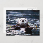 Sea Otter Schwimmen Postkarte (Vorne/Hinten)
