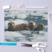 Sea Otter Seidenpapier (Handwerk)