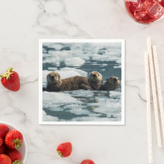 Sea Otter Serviette (Beispiel)